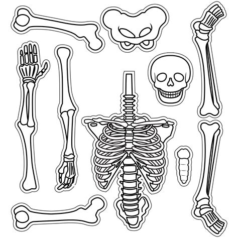 cool skeleton pictures|free skeleton images to print.